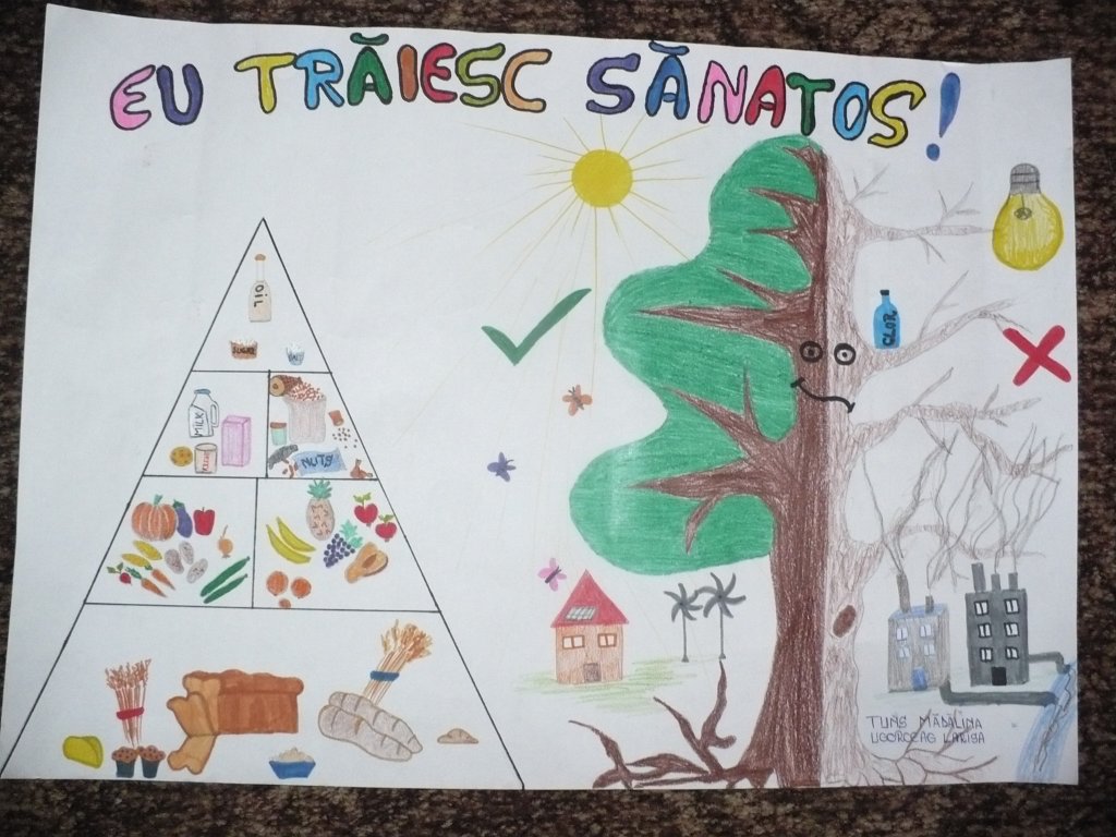 84_Ugorceag Larisa-Tuns Madalina_LT Tg Lapus_LIC.JPG